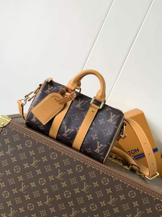 Picture of Louis Vuitton Handbags _SKUfw200716902fw